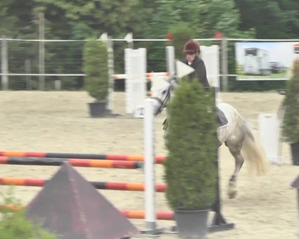 Reitturnier Winkel 2018