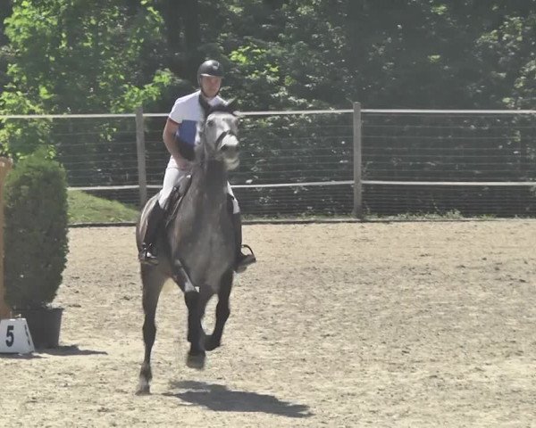 Reitturnier Winkel 2018