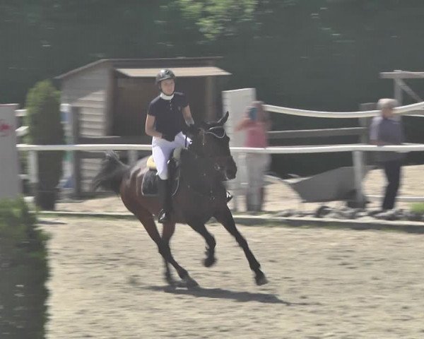 Reitturnier Winkel 2018