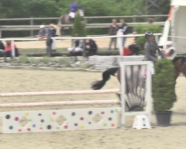 Reitturnier Winkel 2018