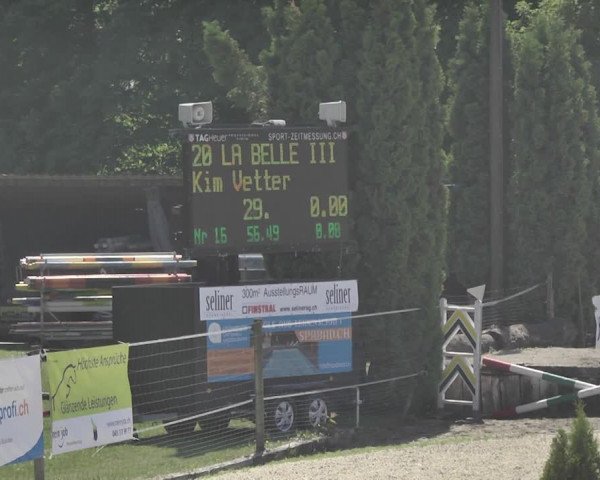 Reitturnier Winkel 2018