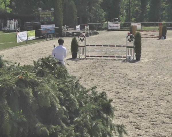 Reitturnier Winkel 2018