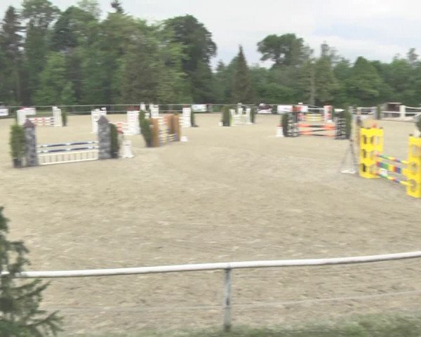 Reitturnier Winkel 2018