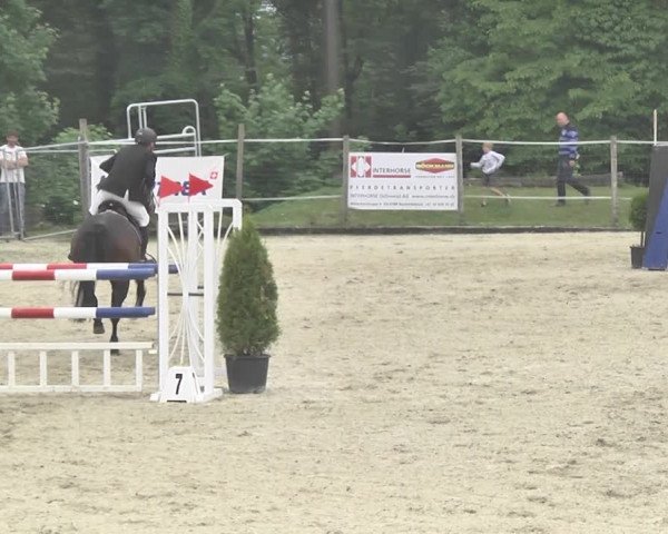 Reitturnier Winkel 2018