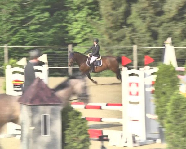 Reitturnier Winkel 2018