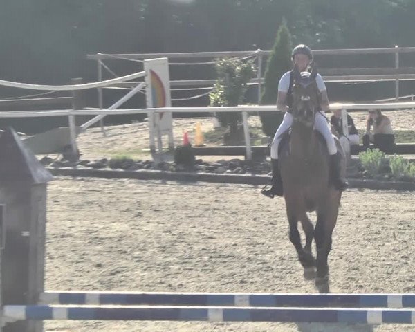 Reitturnier Winkel 2018