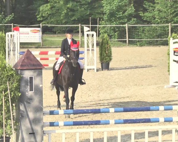 Reitturnier Winkel 2018