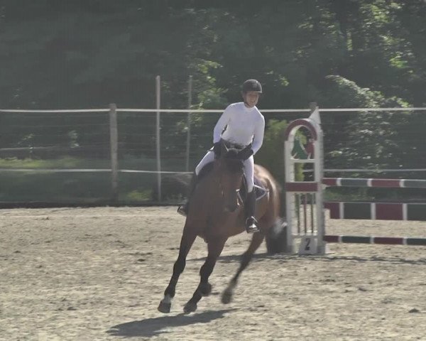 Reitturnier Winkel 2018