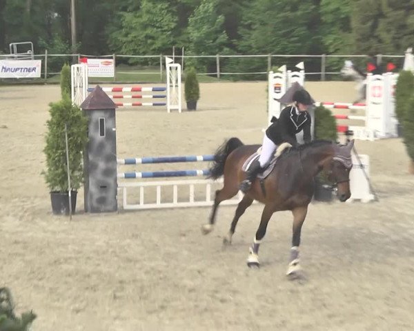 Reitturnier Winkel 2018
