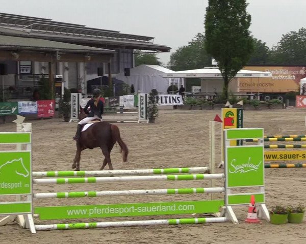 Reitturnier Hellefeld 2018