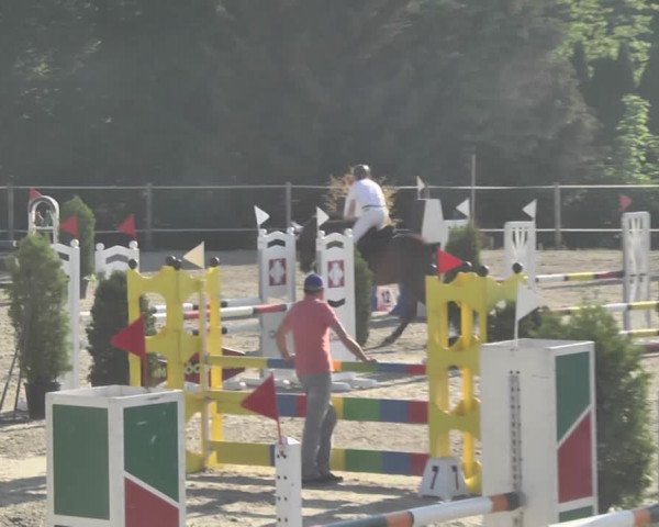 Reitturnier Winkel 2018