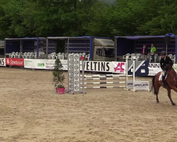 Reitturnier Hellefeld 2018
