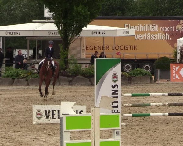 Reitturnier Hellefeld 2018