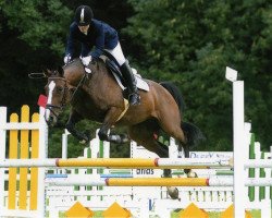 broodmare Chocolat Chip (Westphalian, 1999, from Castus II)