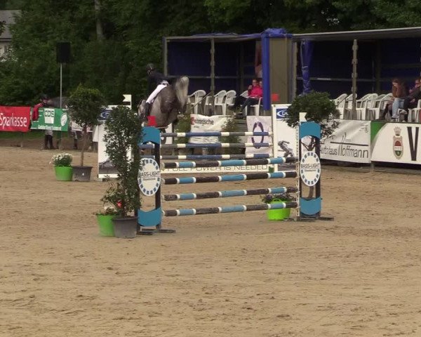 Reitturnier Hellefeld 2018