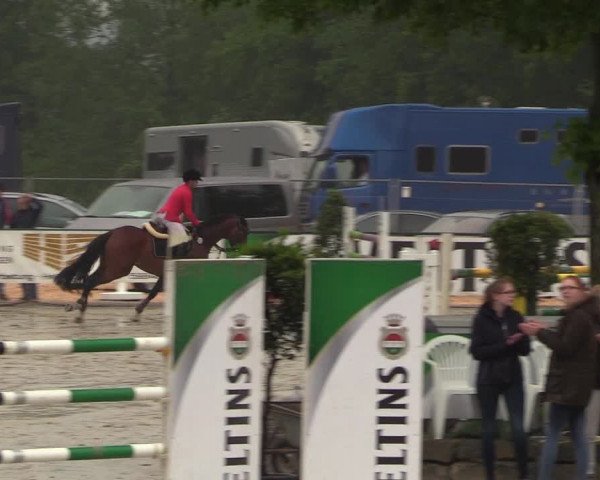 Reitturnier Hellefeld 2018