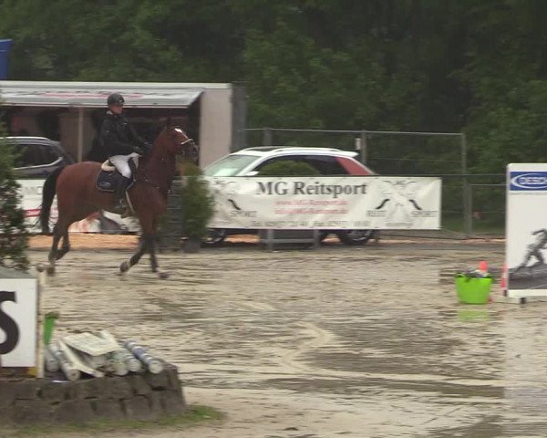 Reitturnier Hellefeld 2018