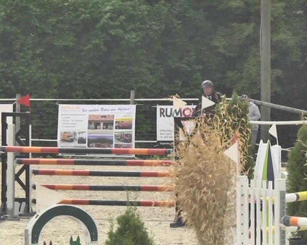 Reitturnier Winkel 2018