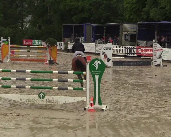 Reitturnier Hellefeld 2018
