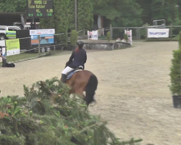 Reitturnier Winkel 2018