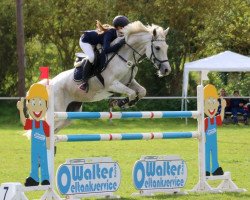 Zuchtstute Nirajana (Deutsches Reitpony, 2007, von Nuts)