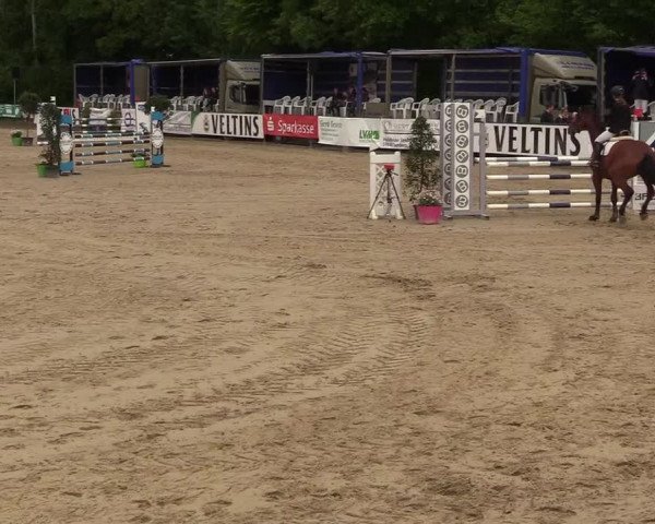 Reitturnier Hellefeld 2018