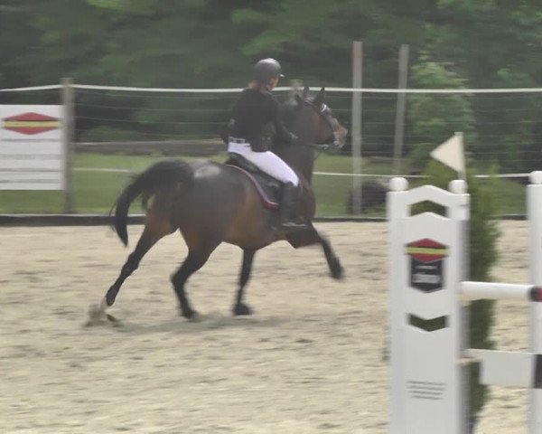Reitturnier Winkel 2018