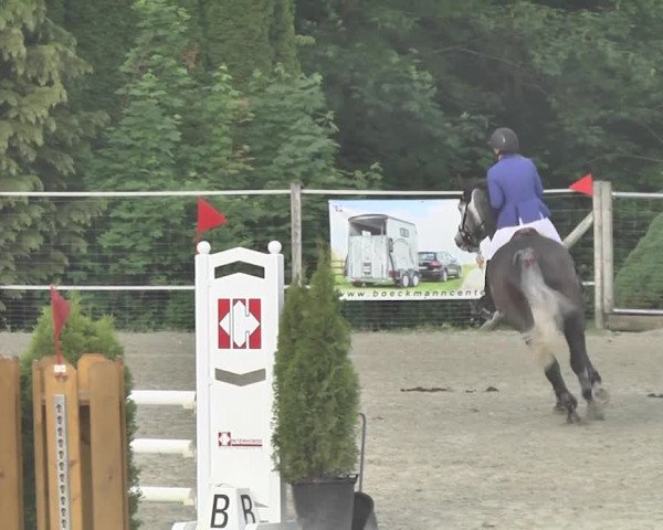 Reitturnier Winkel 2018