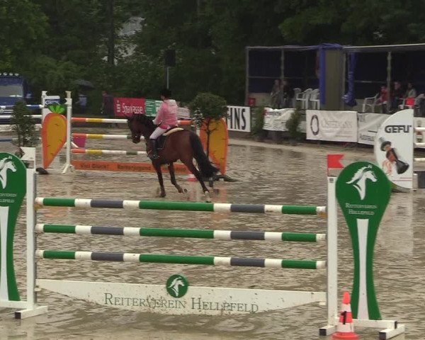 Reitturnier Hellefeld 2018