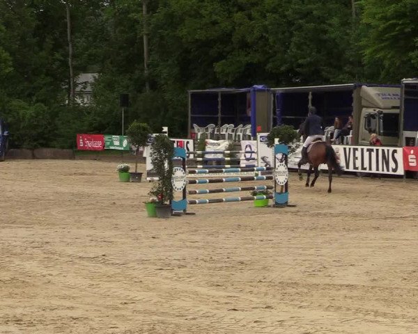 Reitturnier Hellefeld 2018