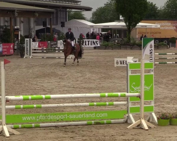 Reitturnier Hellefeld 2018