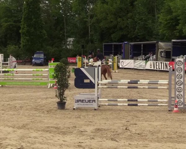 Reitturnier Hellefeld 2018
