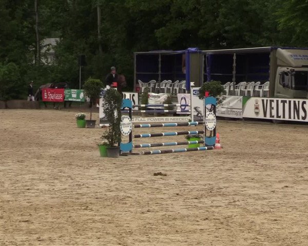 Reitturnier Hellefeld 2018