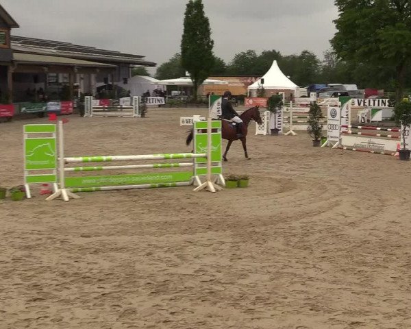 Reitturnier Hellefeld 2018
