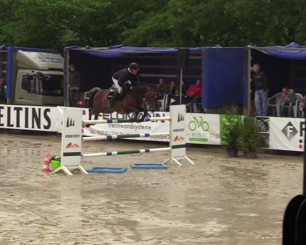Reitturnier Hellefeld 2018