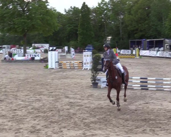 Reitturnier Hellefeld 2018