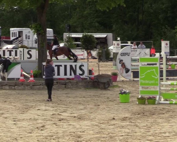 Reitturnier Hellefeld 2018