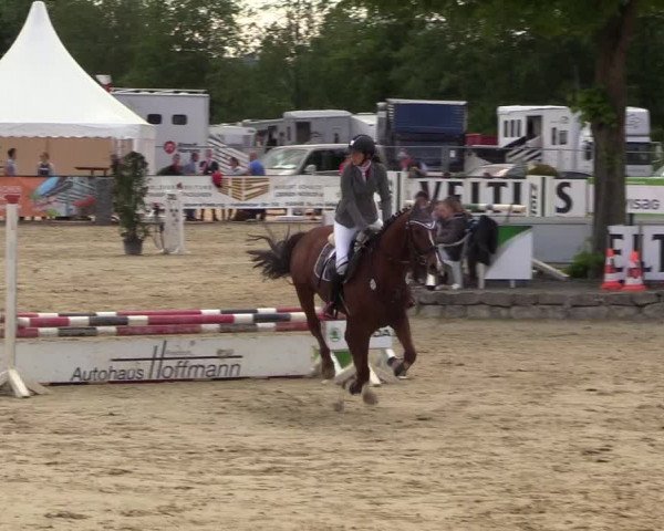 Reitturnier Hellefeld 2018
