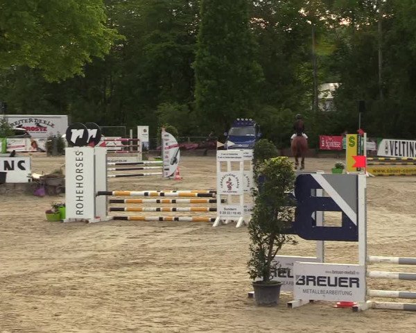 Reitturnier Hellefeld 2018