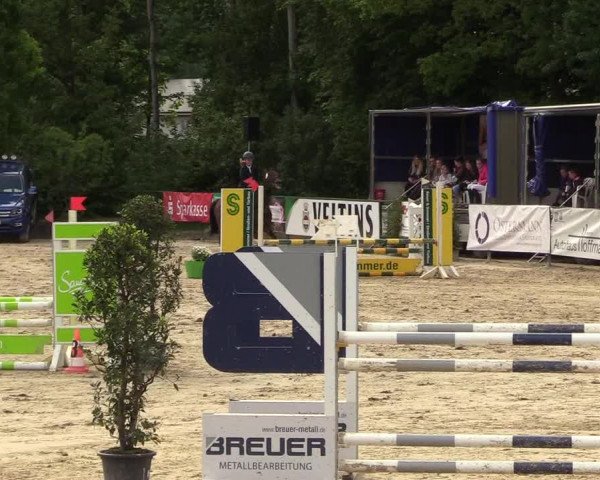 Reitturnier Hellefeld 2018