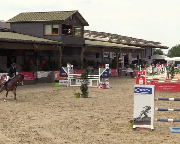 Reitturnier Hellefeld 2018