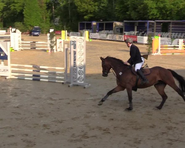 Reitturnier Hellefeld 2018