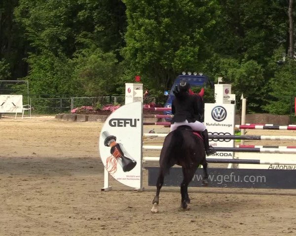 Reitturnier Hellefeld 2018
