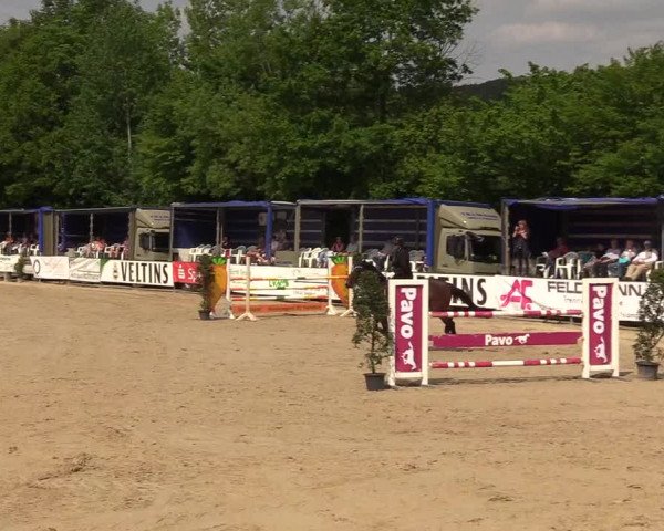 Reitturnier Hellefeld 2018