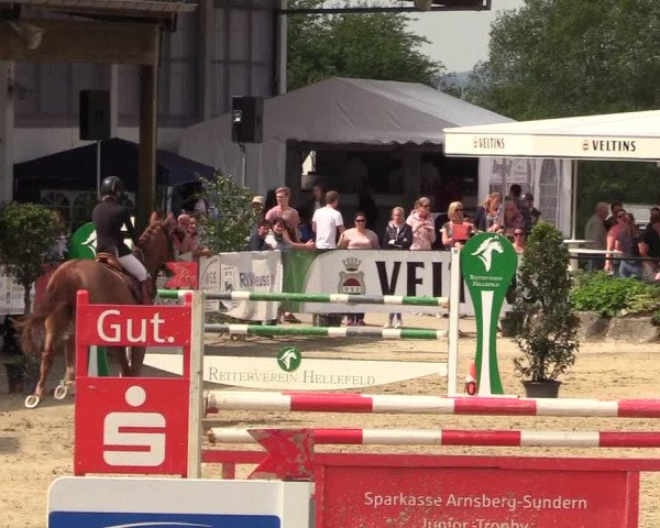 Reitturnier Hellefeld 2018