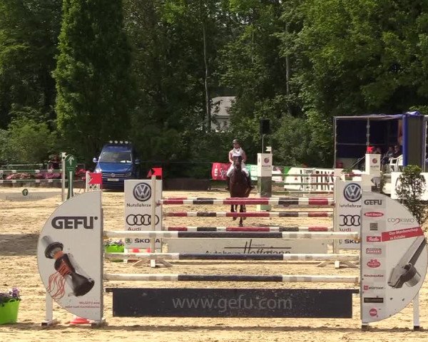 Reitturnier Hellefeld 2018