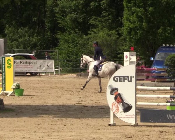 Reitturnier Hellefeld 2018