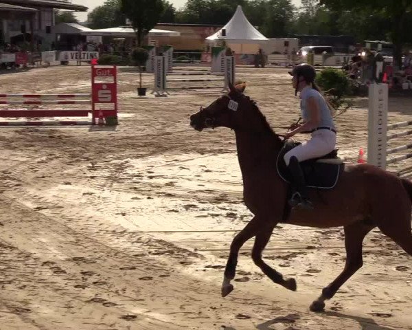 Reitturnier Hellefeld 2018