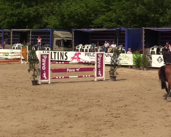 Reitturnier Hellefeld 2018