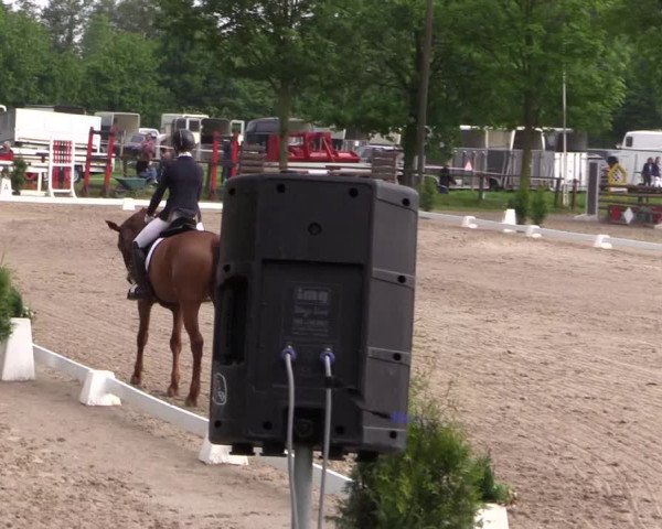 Reitturnier Ahlen 2018